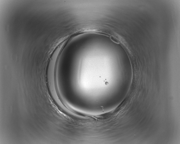 X0000064730385200602101155