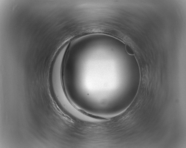 X0000064730386200602101155