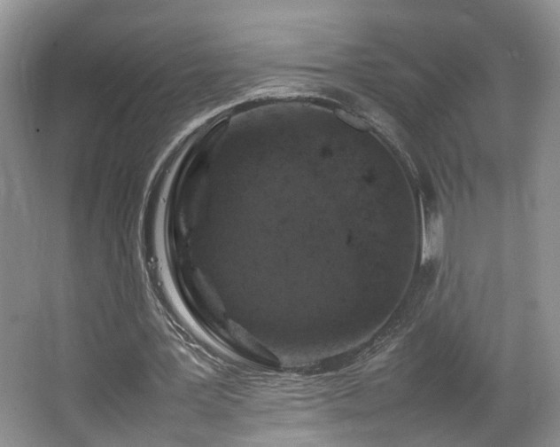 X0000064730387200602101155