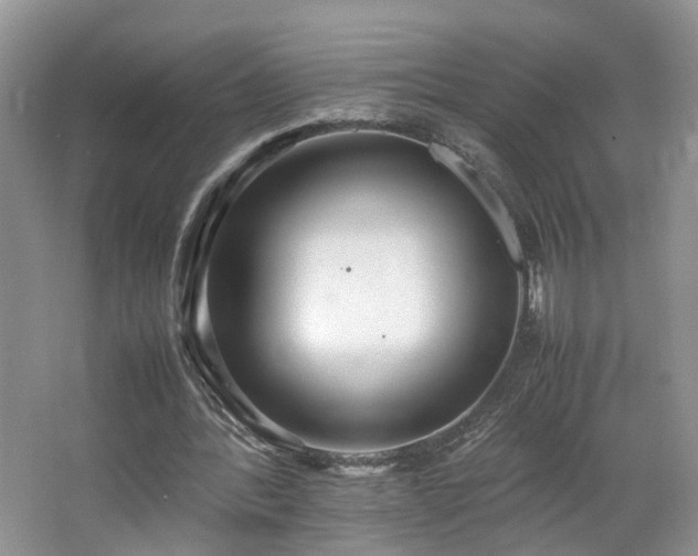 X0000064730388200602101155