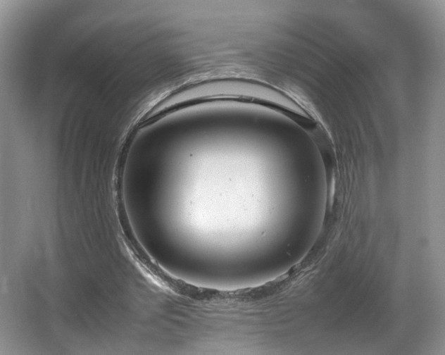 X0000064730389200602101155