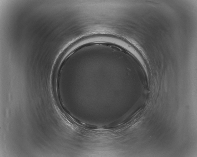 X0000064730391200602101155