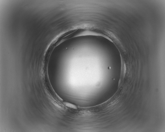 X0000064730392200602101155