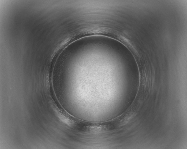 X0000064730394200602101155