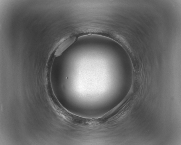 X0000064730395200602101155