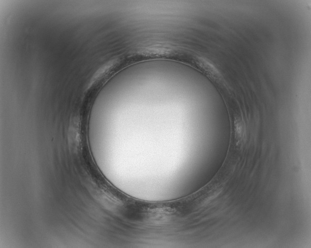 X0000064730396200602101155