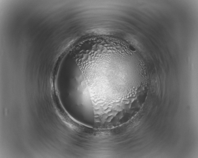 X0000064730398200602101155