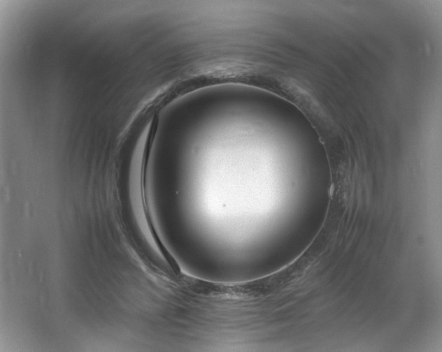 X0000064730400200602101155