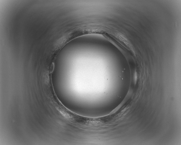 X0000064730401200602101155