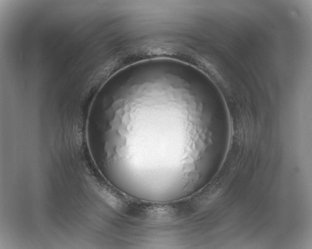 X0000064730402200602101155