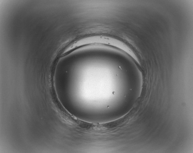 X0000064730403200602101155