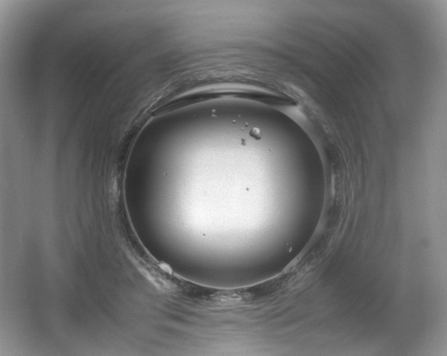 X0000064730405200602101155