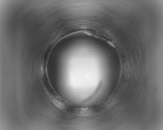 X0000064730406200602101155