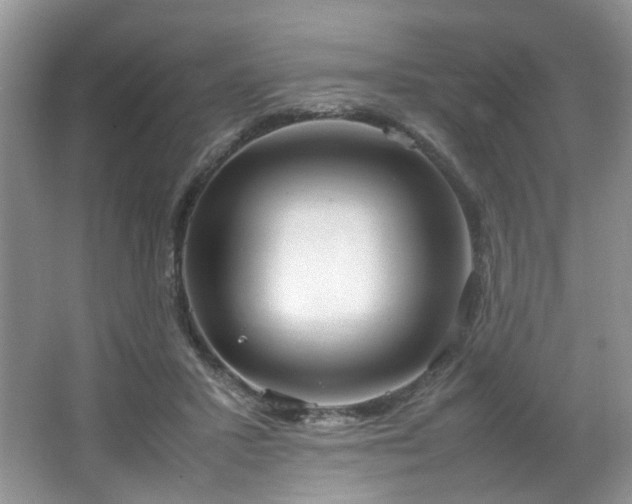 X0000064730407200602101155