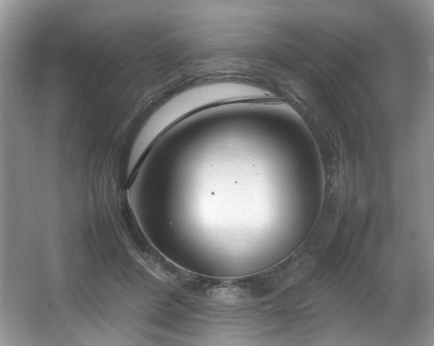 X0000064730408200602101155