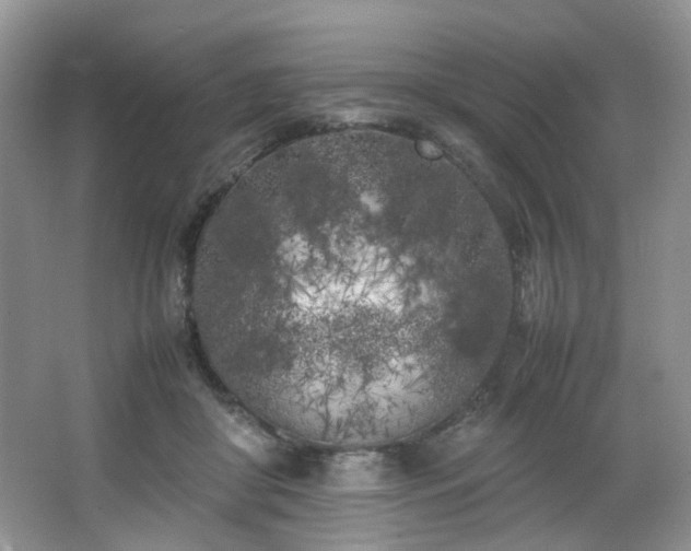 X0000064730410200602101155