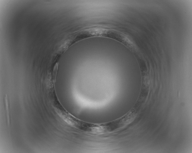 X0000064730411200602101155