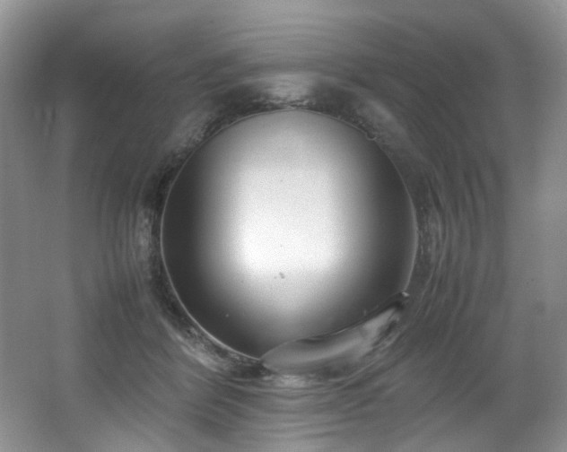 X0000064730412200602101155