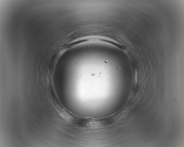 X0000064730413200602101155