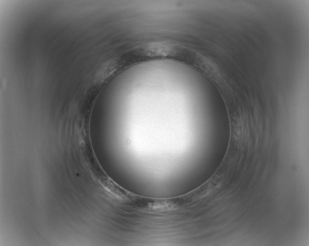 X0000064730414200602101155