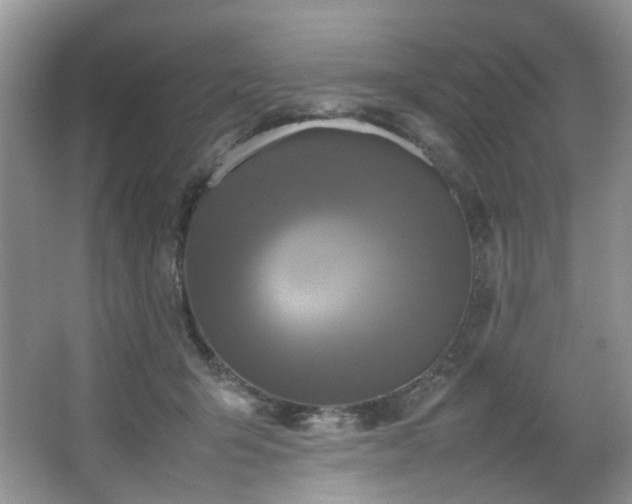 X0000064730415200602101155