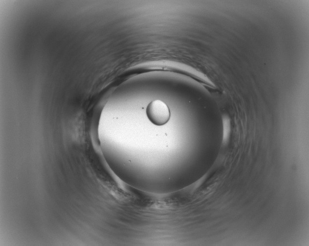 X0000064730416200602101155