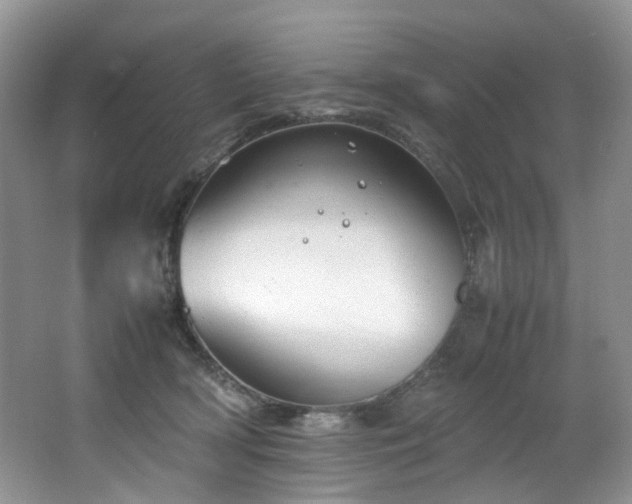 X0000064730418200602101155