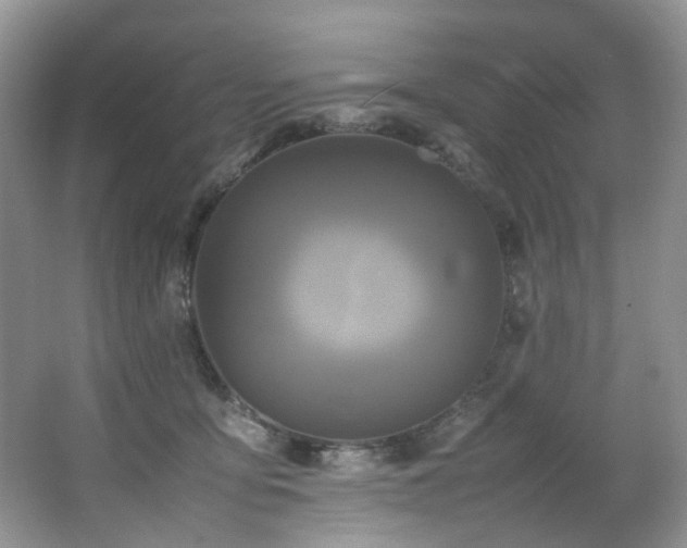 X0000064730419200602101155