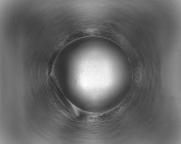 X0000064730420200602101155