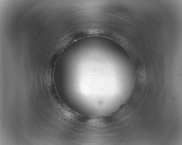 X0000064730422200602101155