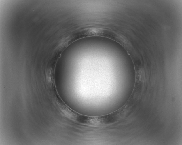 X0000064730423200602101155