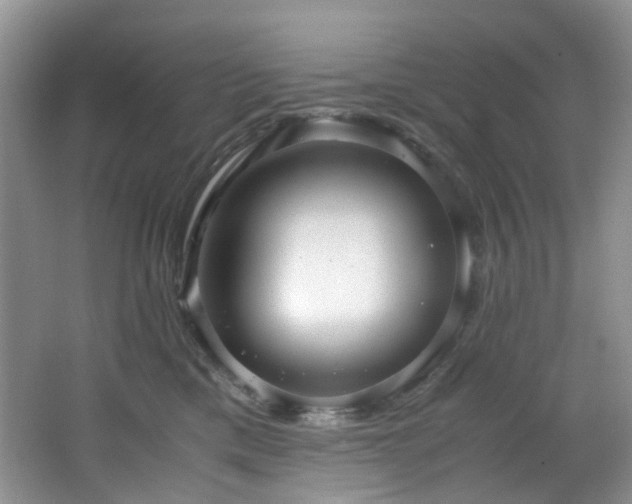 X0000064730425200602101155