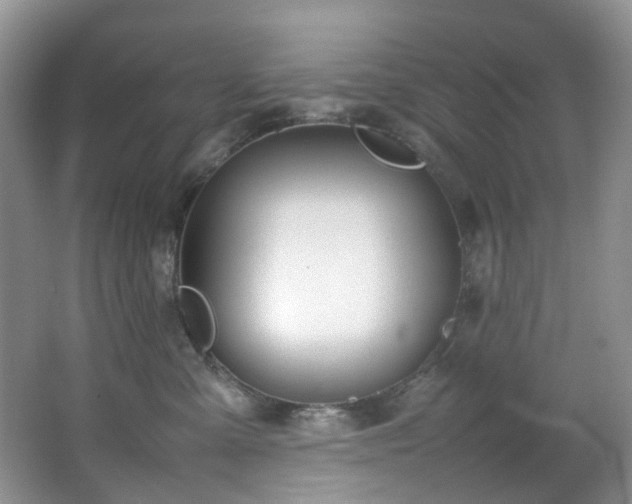 X0000064730427200602101155