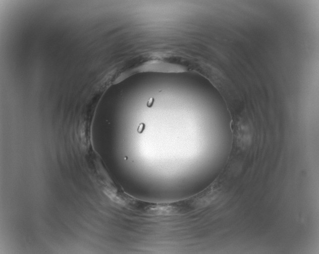 X0000064730428200602101155