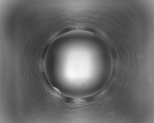 X0000064730429200602101155