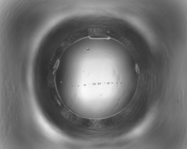 X0000064730431200602101154