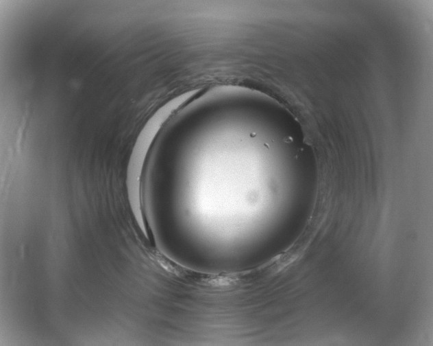 X0000064730432200602101154