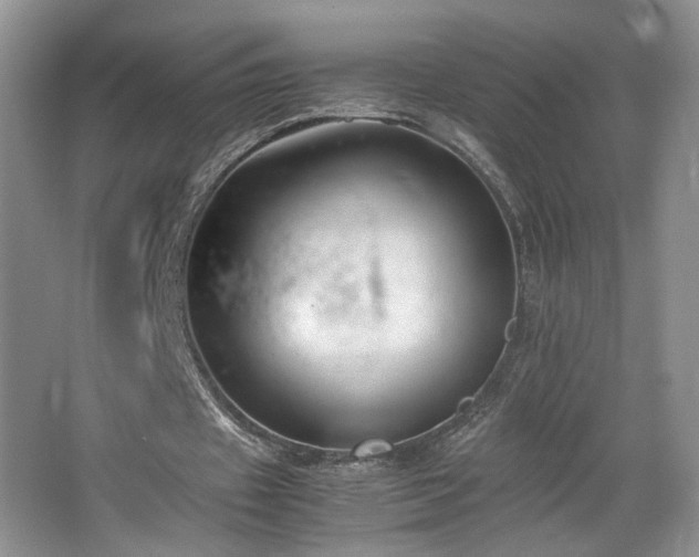 X0000064730433200602101154