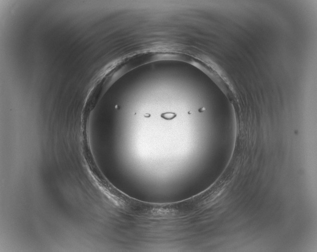 X0000064730437200602101154