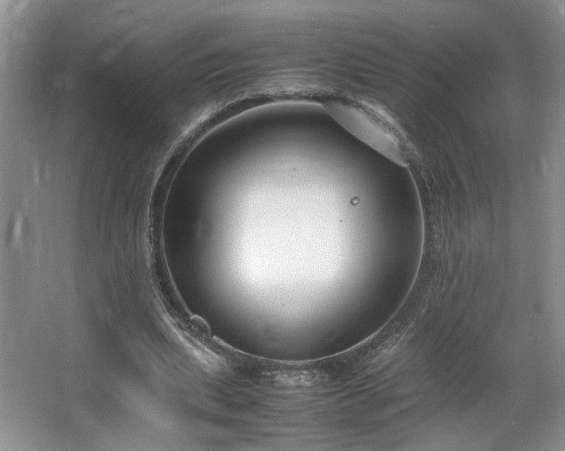 X0000064730439200602101154