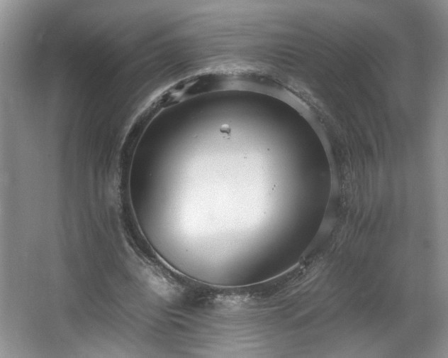 X0000064730440200602101154