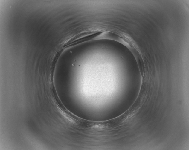 X0000064730441200602101154