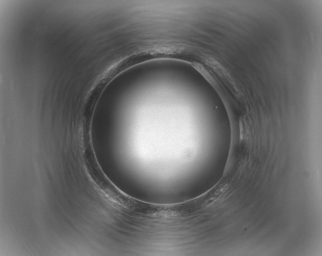 X0000064730444200602101154