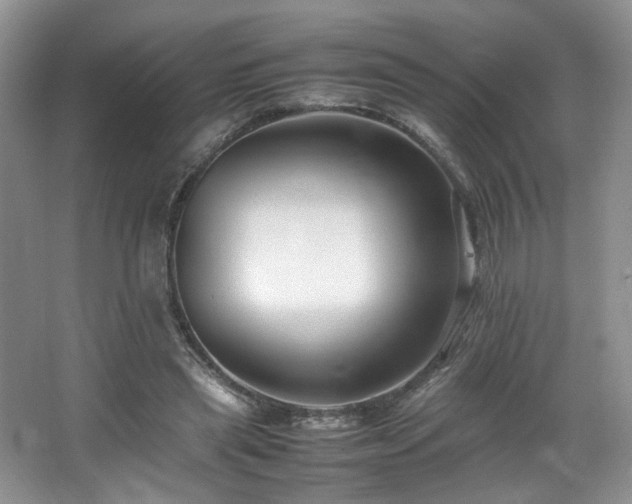 X0000064730445200602101154