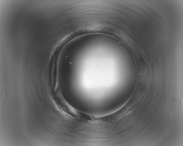 X0000064730446200602101154