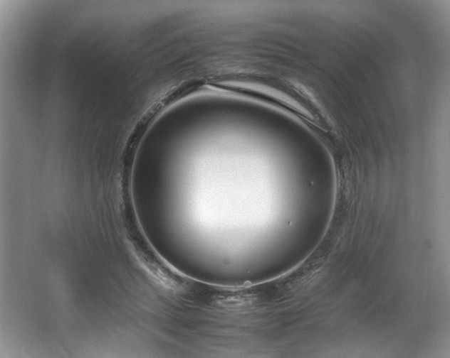 X0000064730447200602101154