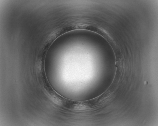 X0000064730451200602101154