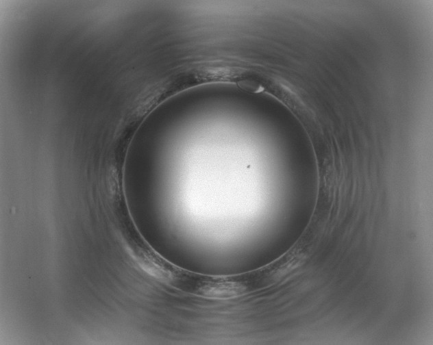 X0000064730459200602101154