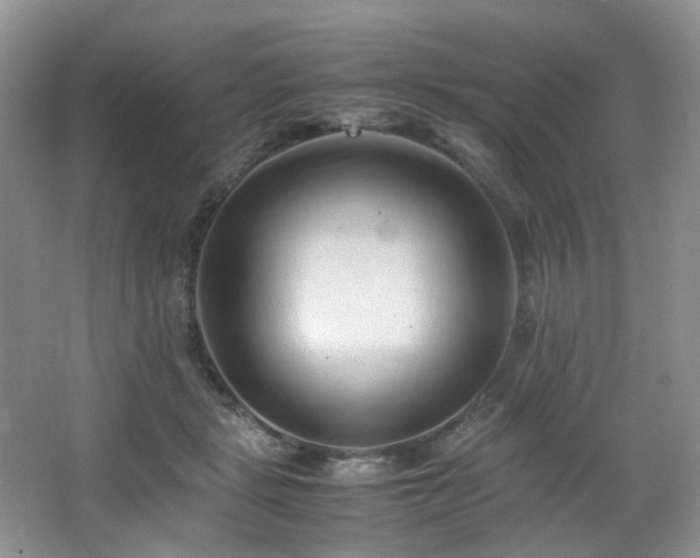 X0000064730461200602101154