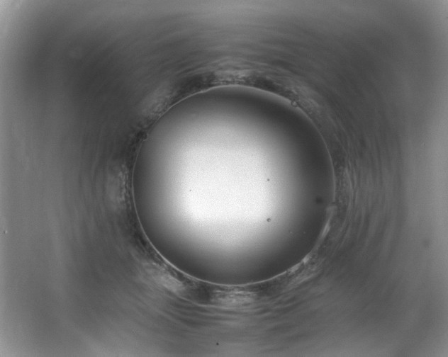 X0000064730463200602101154